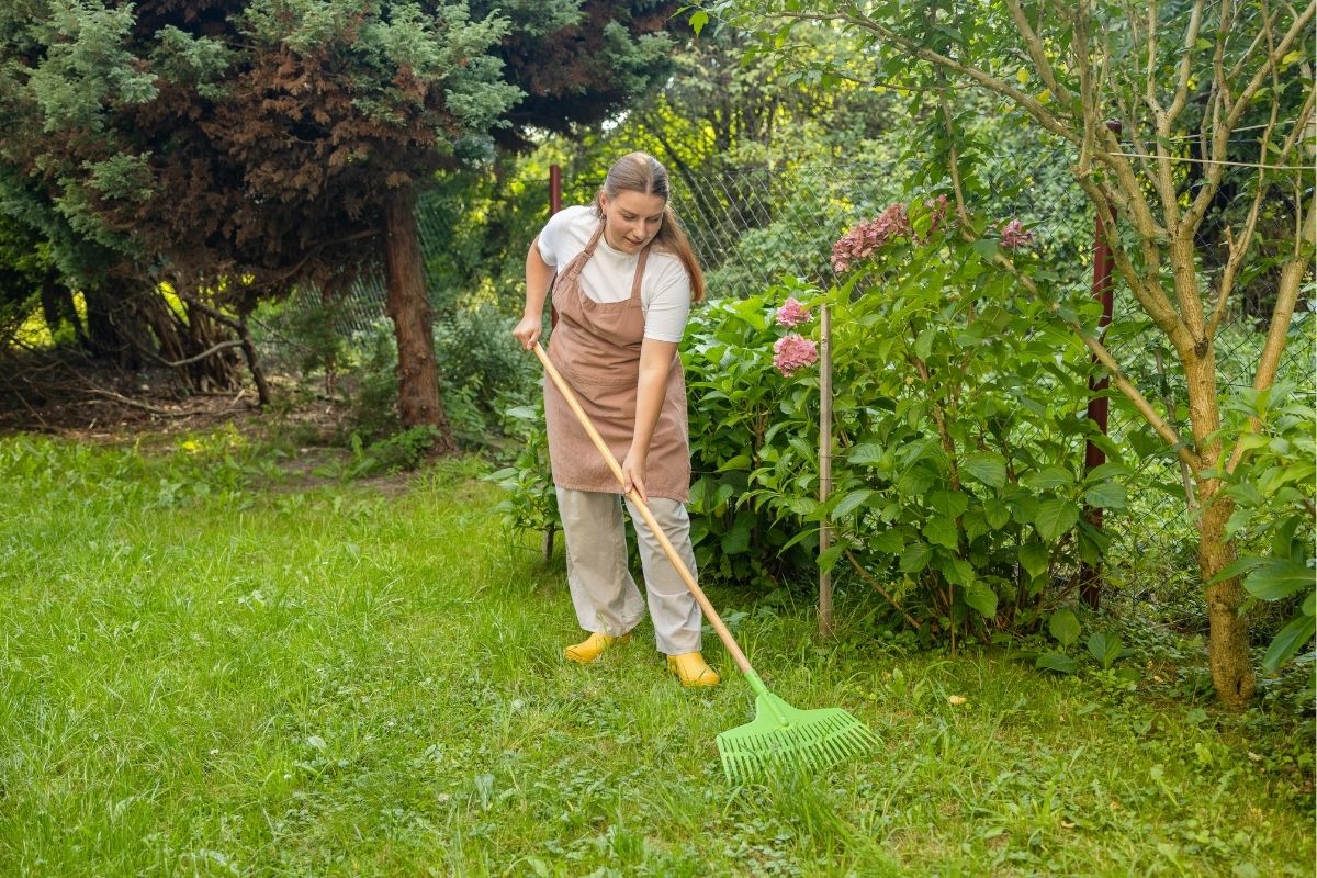 Alanya Garden Cleaning