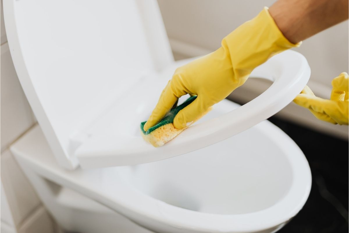 Toilet Cleaning